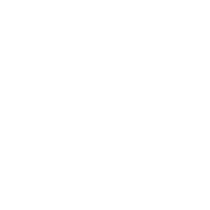 Icon Glühbirne